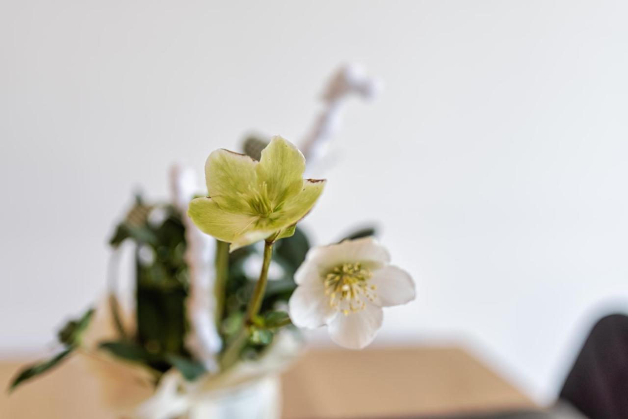 Ski & Nature Apartment Mauterndorf  Ngoại thất bức ảnh